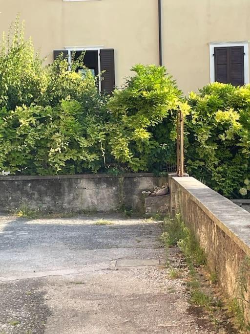 Appartement The Lime Tree Cozy Flat à Riva del Garda Extérieur photo